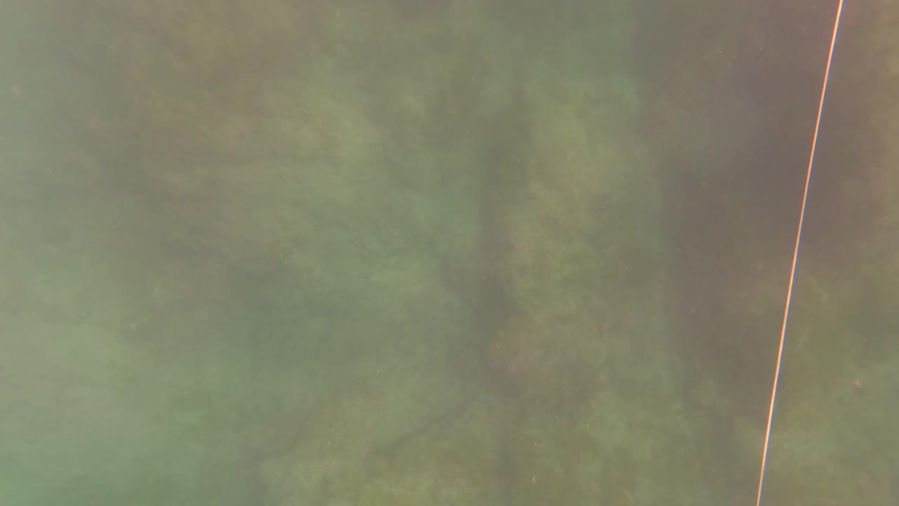 Hazy underwater rock formations with muted green color