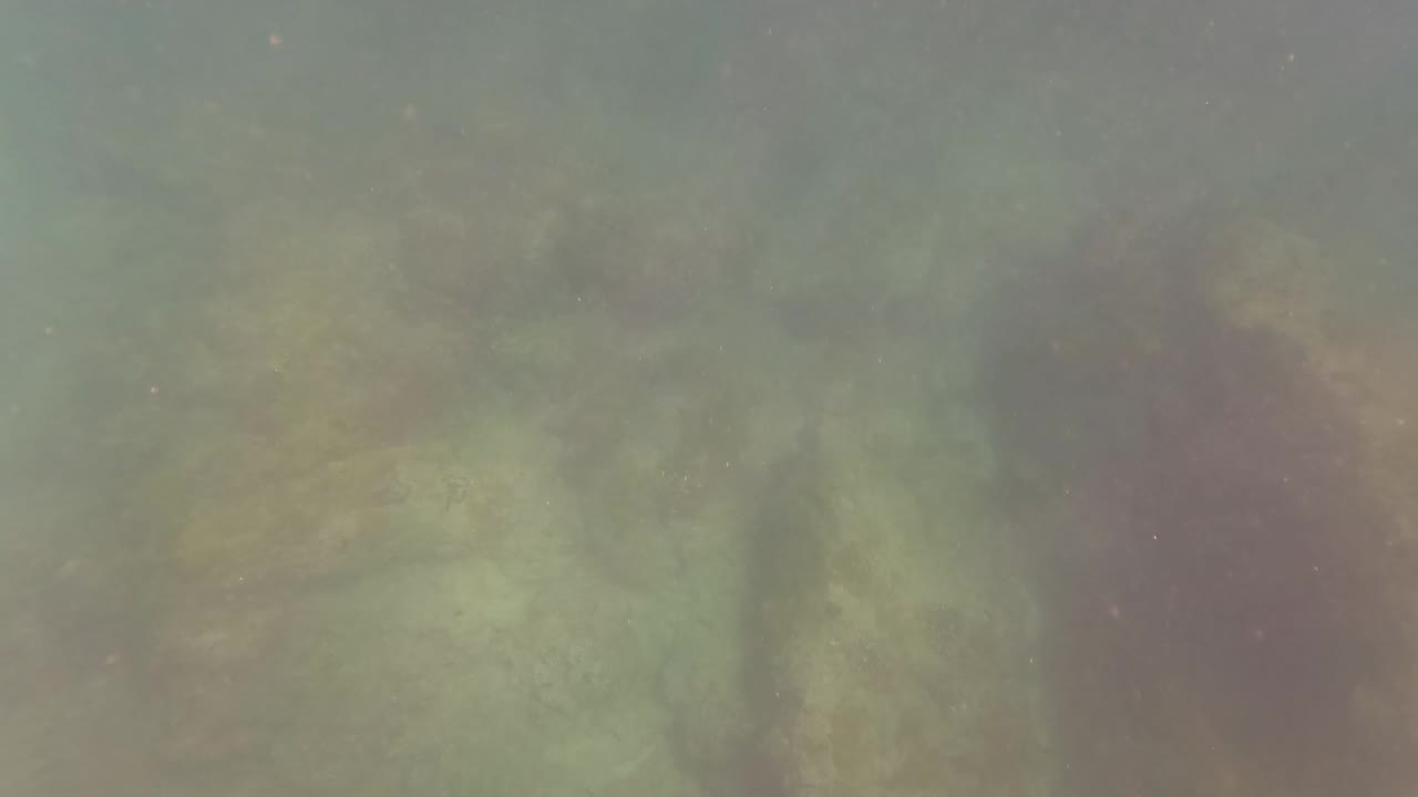 Underwater view in San Jose Del Cabo, Mexico, showing cloudy water over pale submerged rocks with a vertical rope line near the left edge and no visible people.