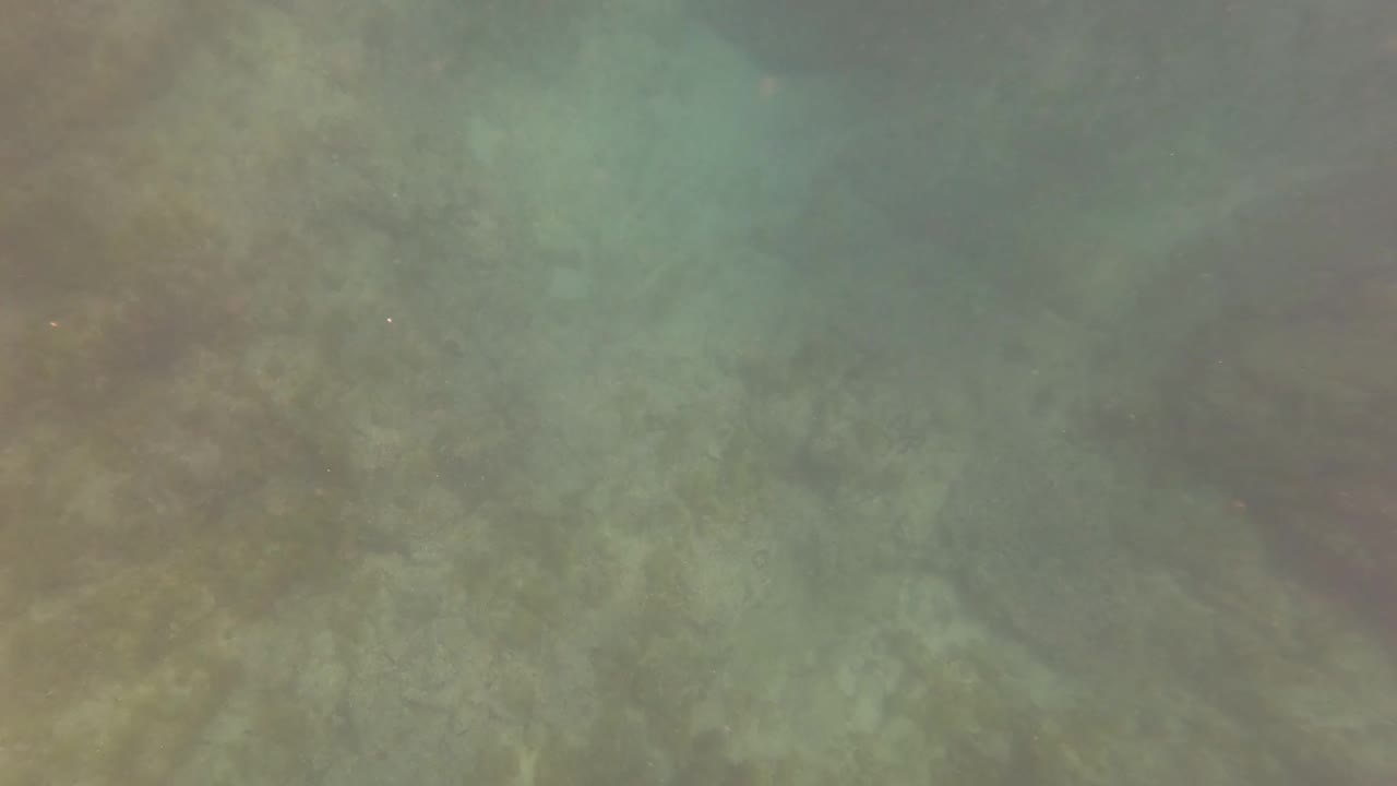 Underwater view in San Jose Del Cabo showing cloudy turquoise water over submerged rocks and sand, with no visible people in this opening frame.