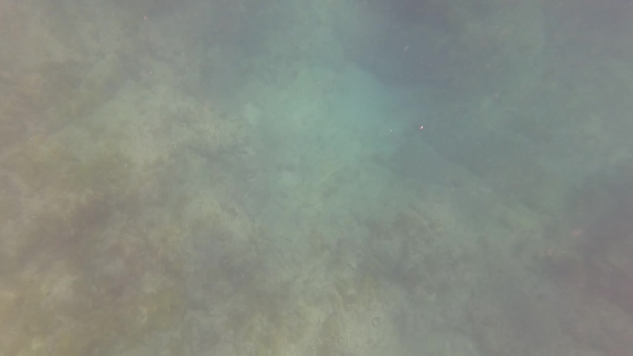 A red gloved diver hand enters the upper right of the San Jose Del Cabo underwater frame above green-blue water and the rocky seabed, with no face or body visible.