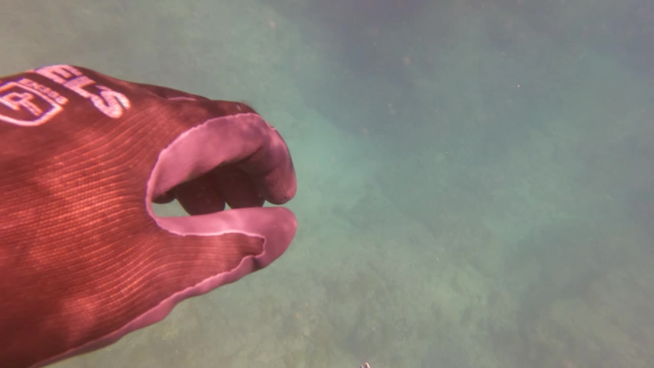 Underwater frame in San Jose Del Cabo with pale sand, darker submerged rock shapes, and soft turquoise water, with no visible people.