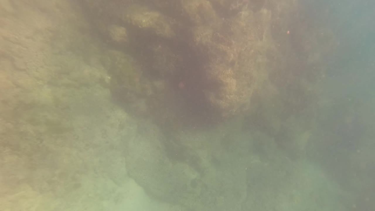 Murky underwater view of rocks and reef in blue-green water.