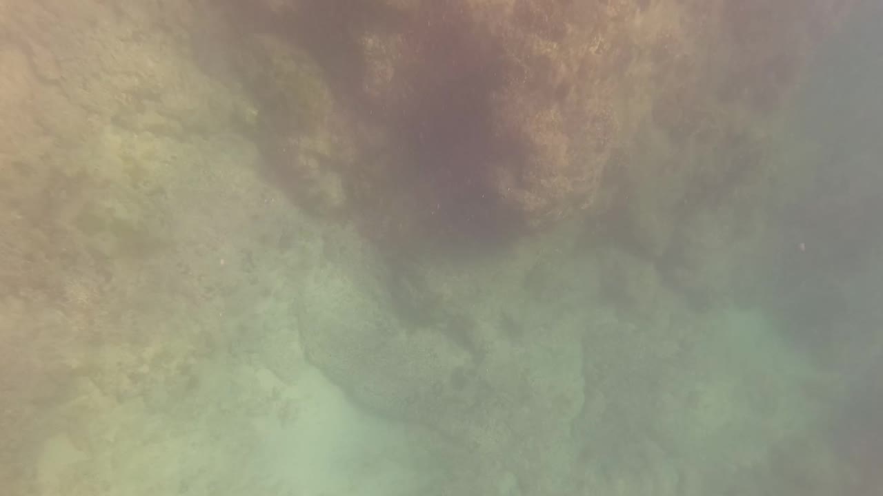 Underwater frame in San Jose Del Cabo with a darker rock mass near the top and pale seabed visible through cloudy green-blue water, with no visible people.