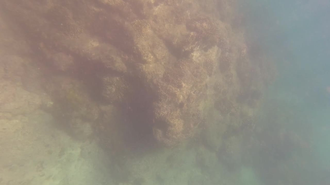 Underwater frame in San Jose Del Cabo showing textured brown rock on the left and a blue water pocket on the right, with no visible people.