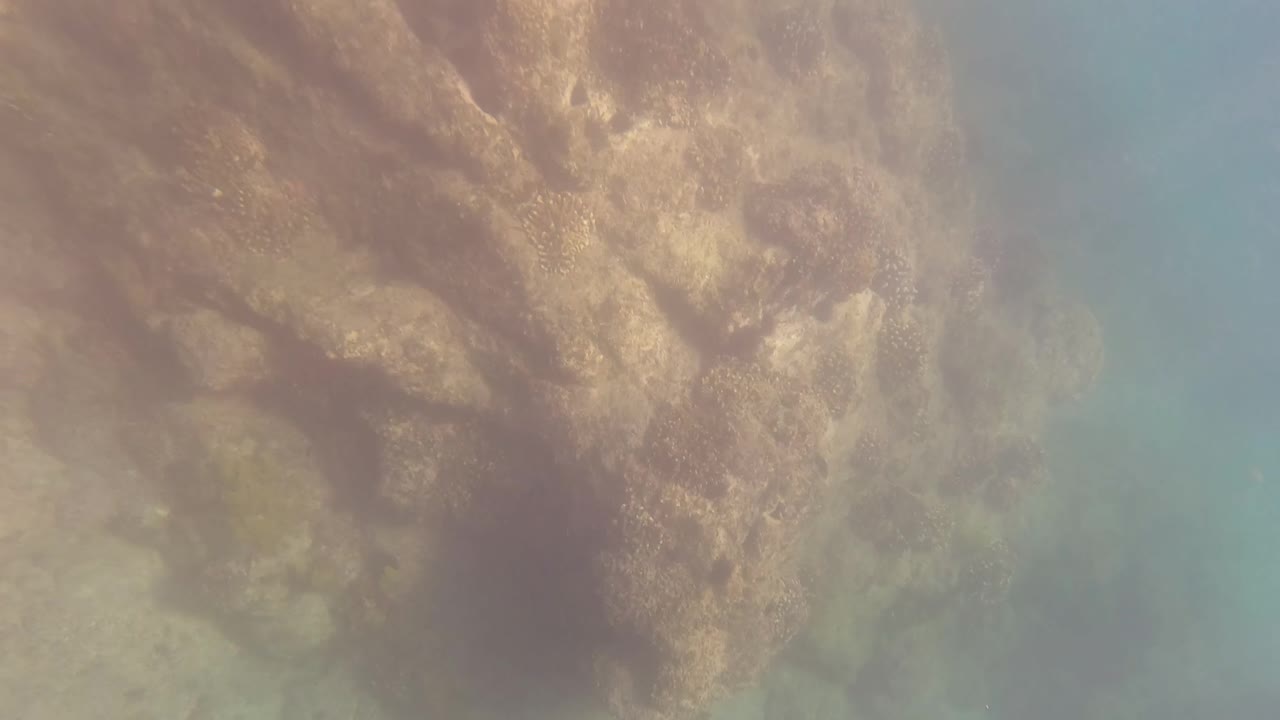 Underwater frame in San Jose Del Cabo with the rocky reef surface filling more of the image and blue-green water along the right side, with no visible people.