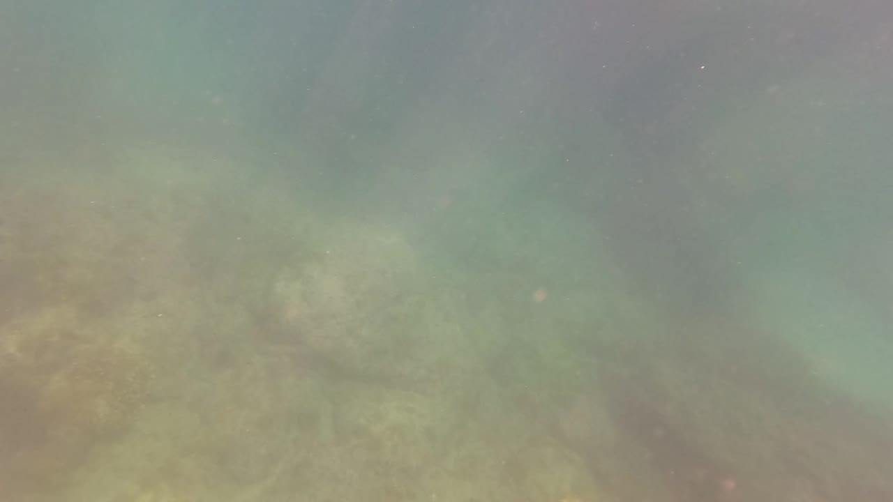 Murky green underwater view with a rocky bottom and suspended particles.