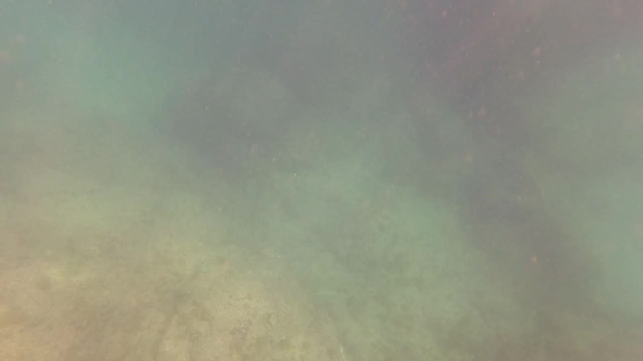 Cloudy green water fills the San Jose Del Cabo underwater frame, with seabed texture low in the image, suspended particles, and no visible people.