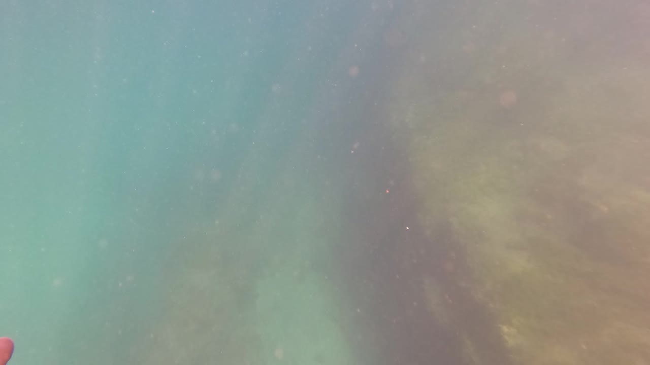 Underwater view in San Jose del Cabo looking down at a shadowed rocky seabed and green marine growth through turquoise water, with no visible people.