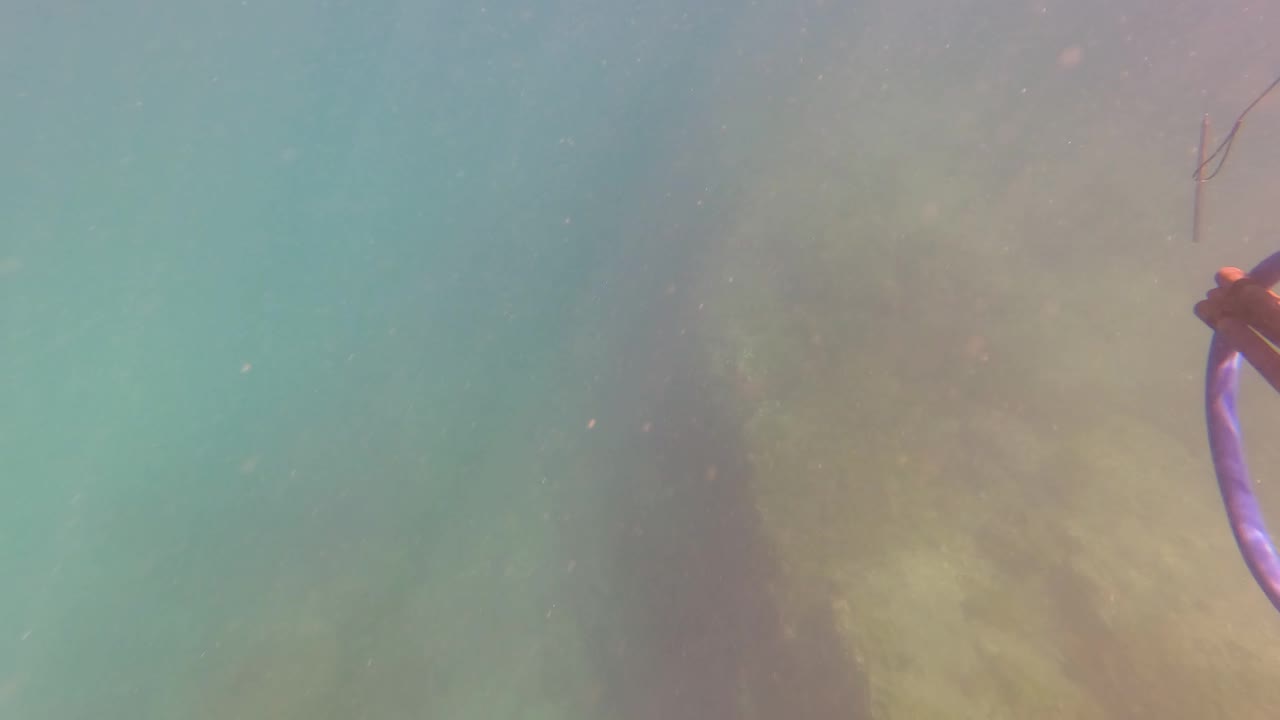 San Jose del Cabo underwater frame with a rocky, vegetation-covered seabed below turquoise water and purple diving equipment entering from the right edge, no visible people.