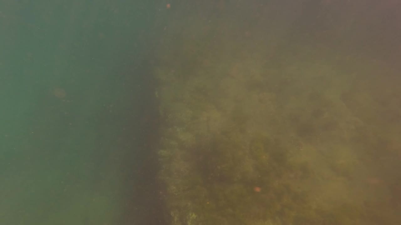 The camera is underwater in San Jose del Cabo, looking through greenish water toward a rocky seabed with marine growth, suspended particles, and no visible people.