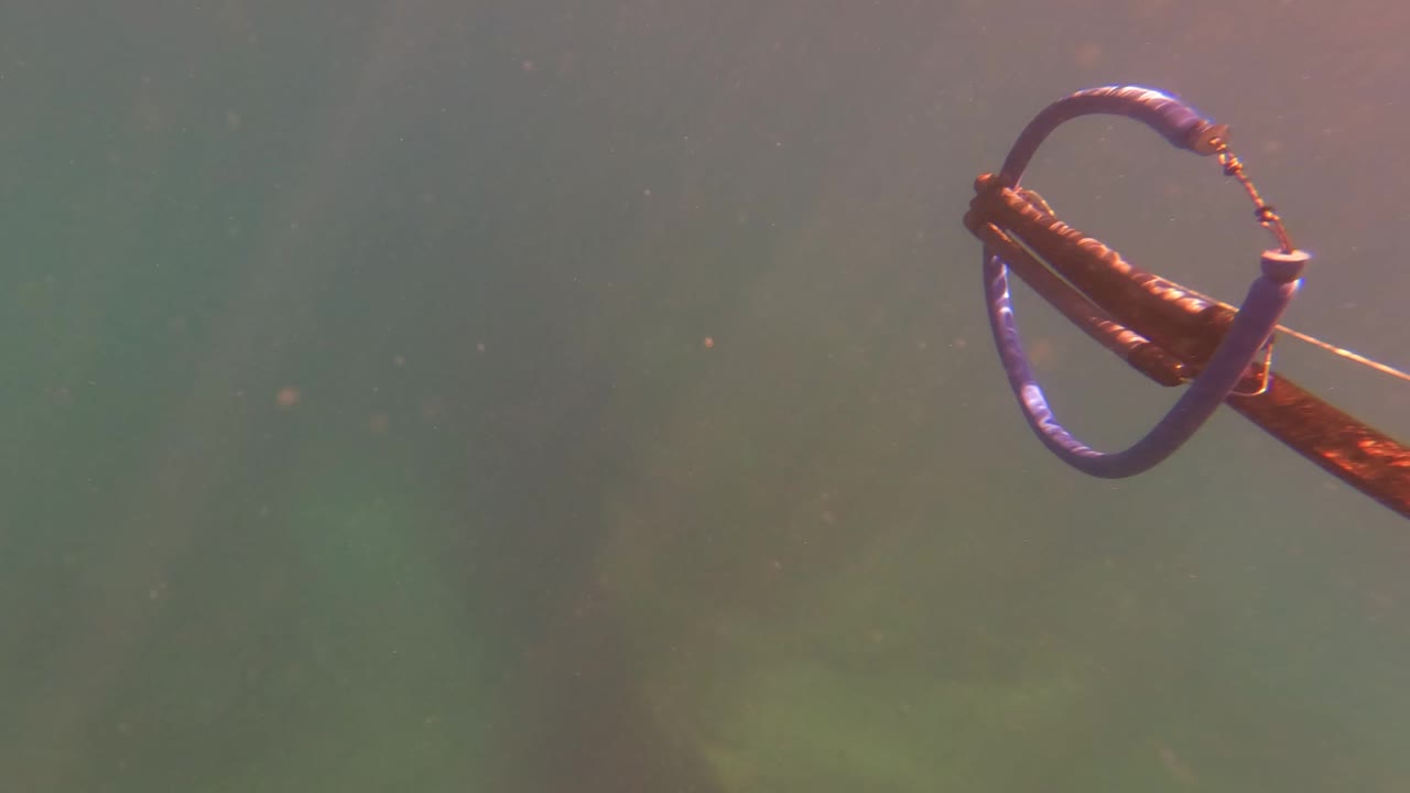 Ring buoy and rope appear near the upper right of a hazy green underwater frame in San Jose Del Cabo, with no visible people.