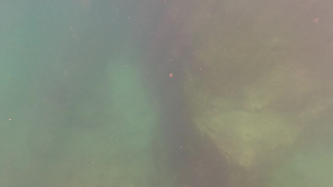Submerged dock structure stands over a pale sandy bottom in hazy San Jose Del Cabo water, with no visible people.