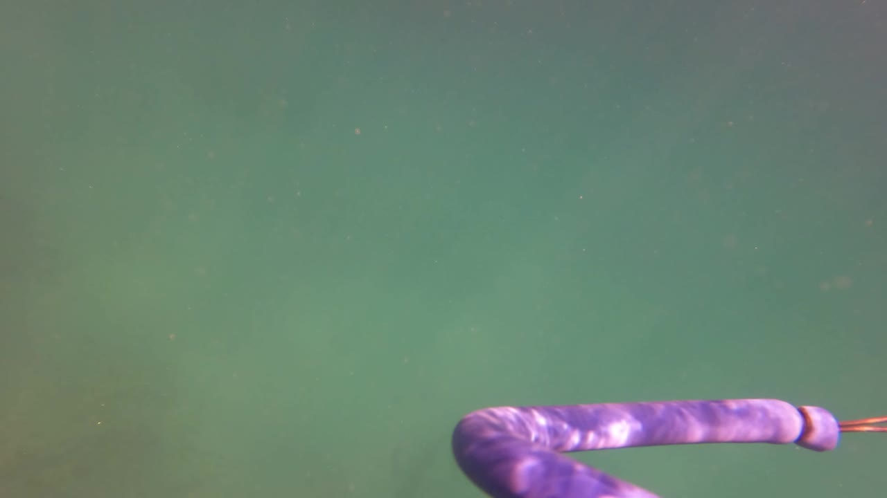 Purple hose remains in the lower frame under green water as the view approaches the surface in San Jose del Cabo, with no visible people.