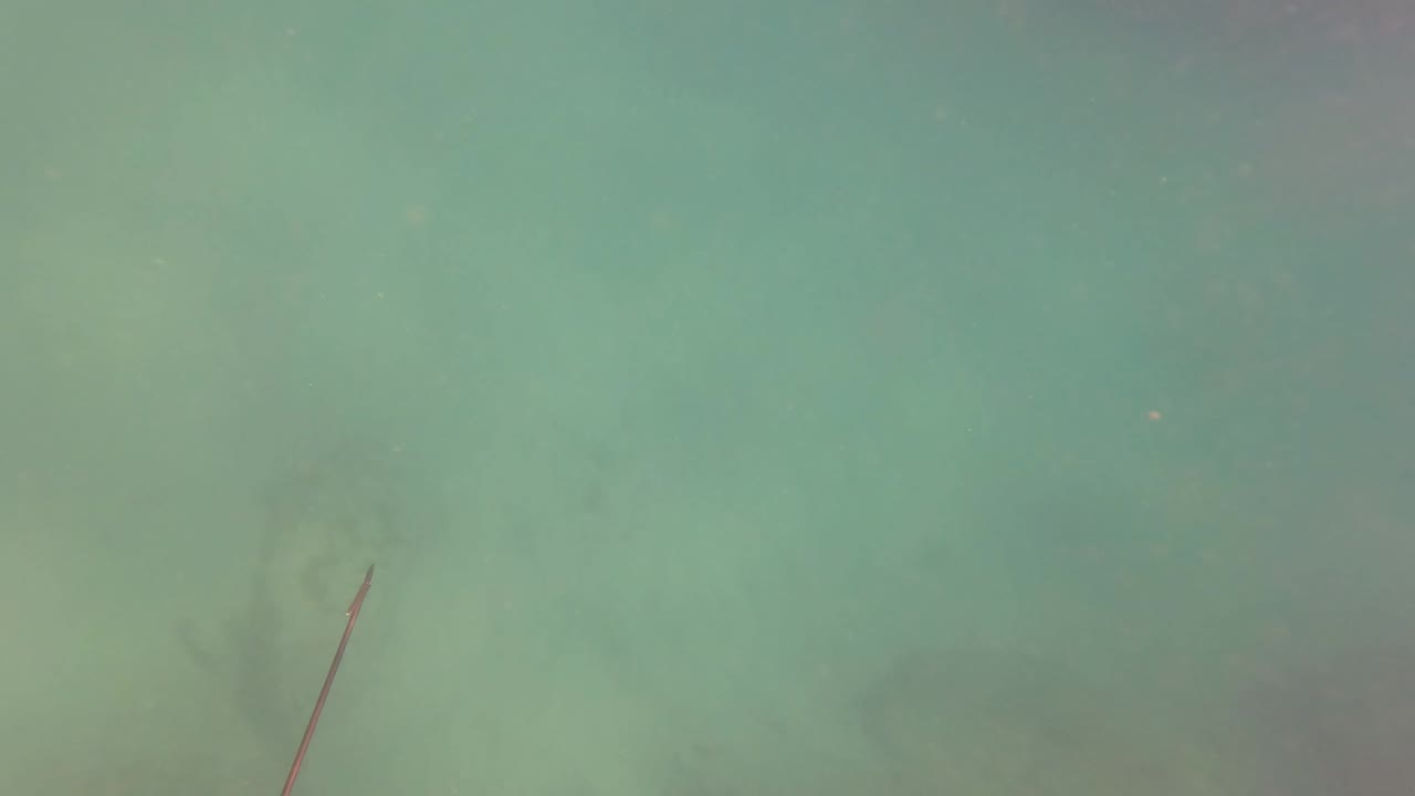 A spearfishing pole enters the lower left of green-blue water over a faint seabed in San Jose del Cabo, with no visible people.