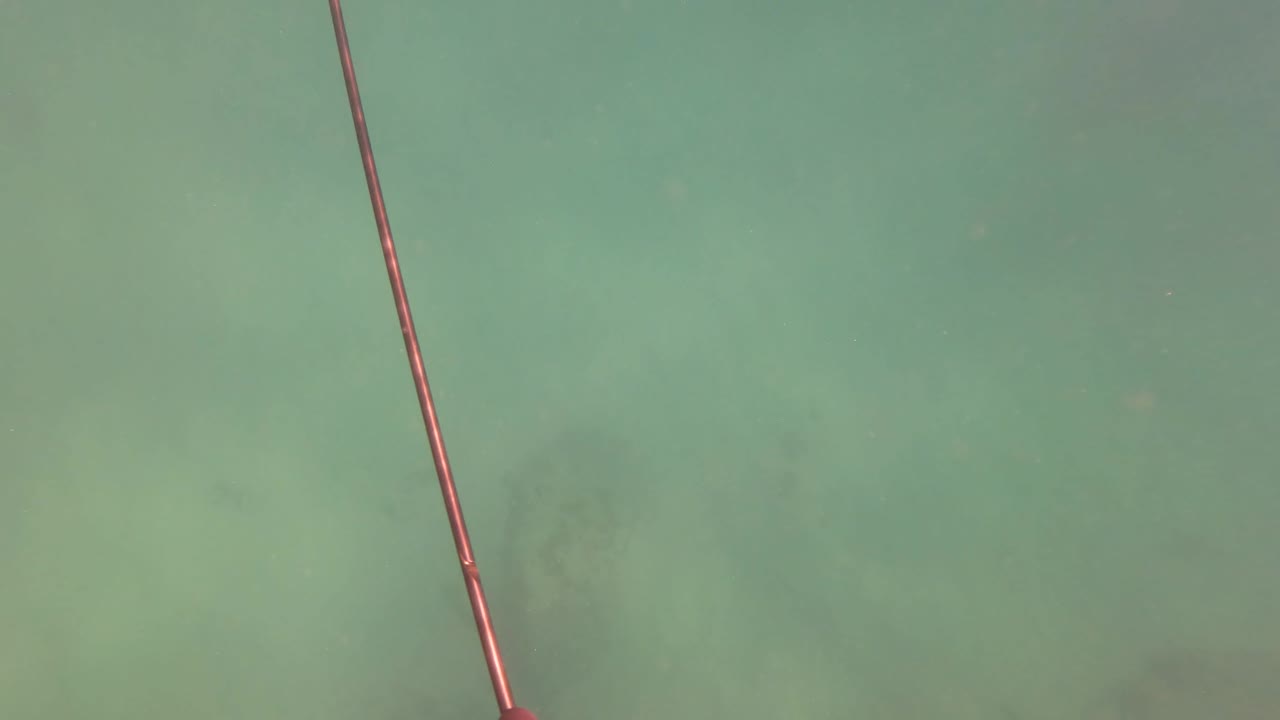 A long spearfishing pole runs down through green water above a blurred ocean floor in San Jose del Cabo, with no visible people.