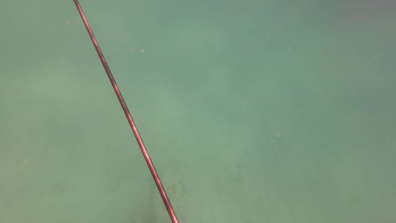 A reddish spearfishing pole cuts diagonally across clear green water above muted seabed shapes in San Jose del Cabo, with no visible people.