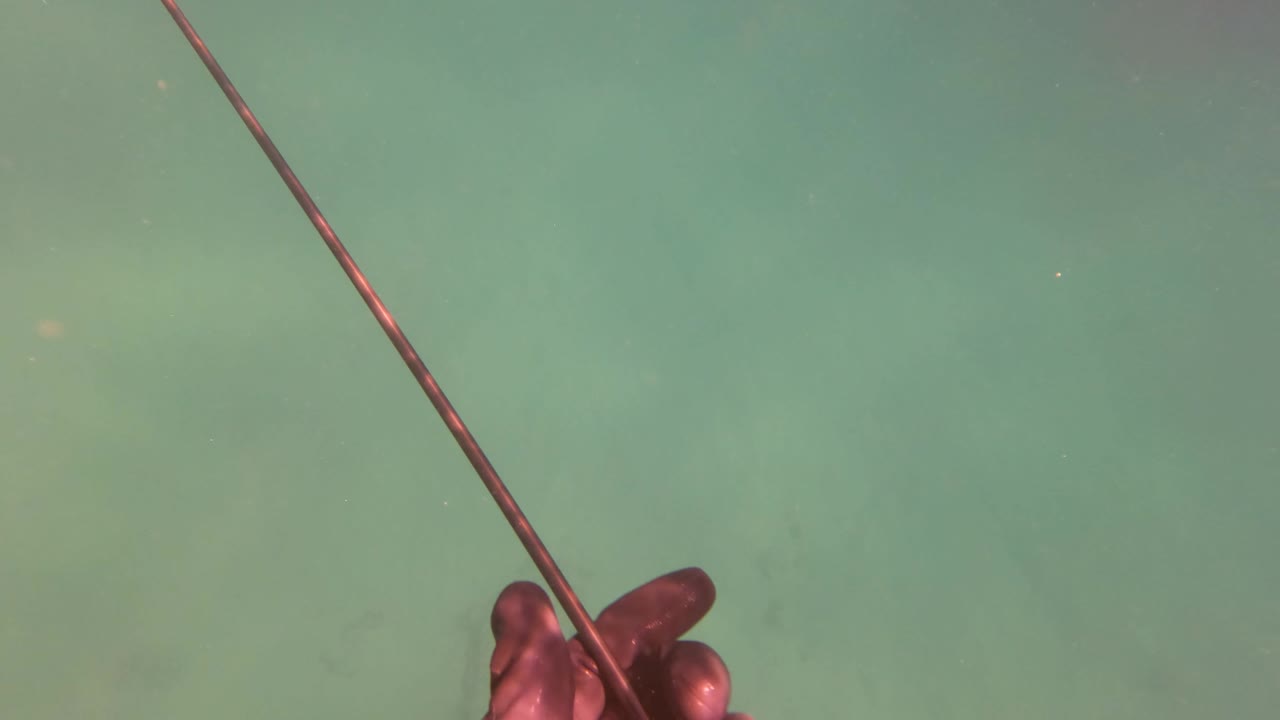 A hand grips the spearfishing pole at the lower edge as it angles across green water over the San Jose del Cabo seafloor, with no face or full person visible.