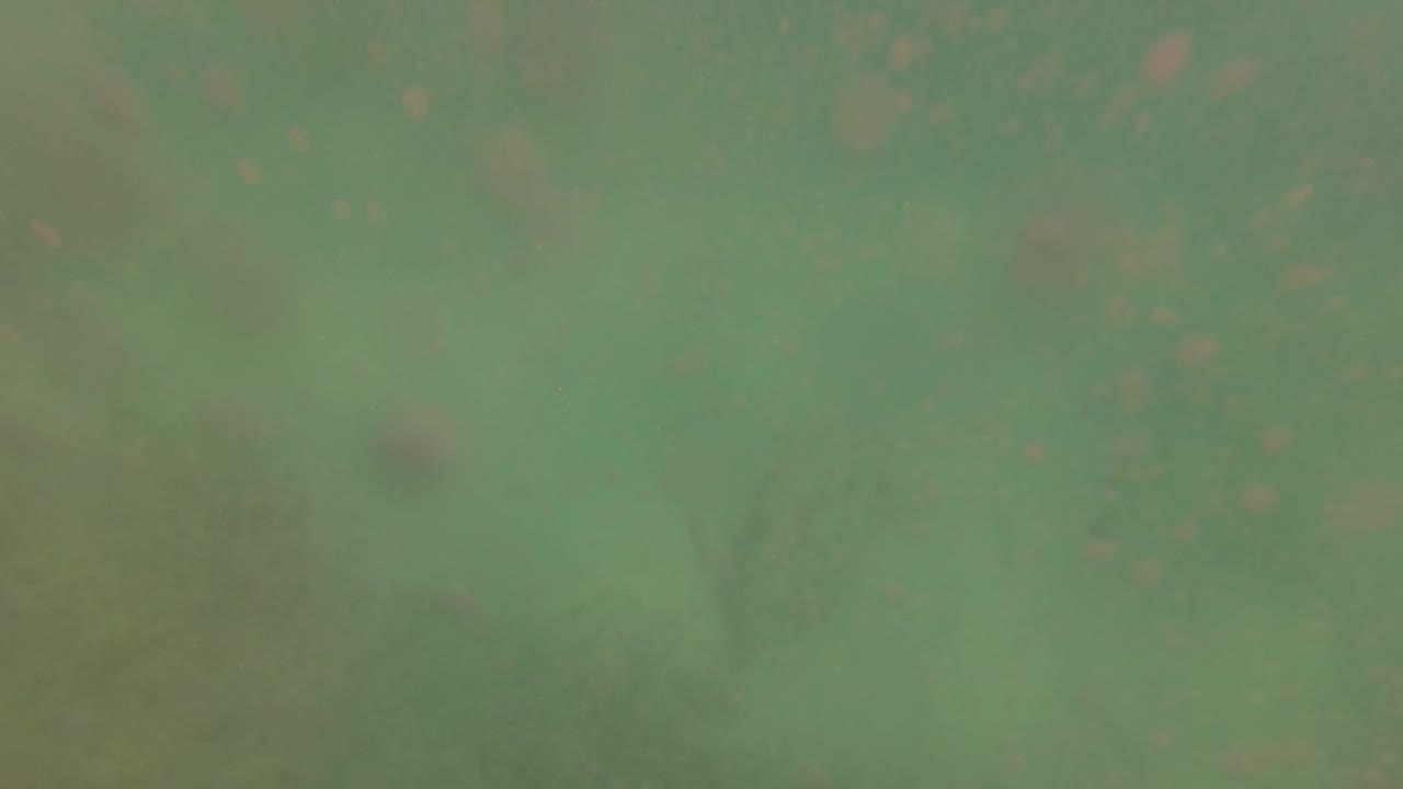 Green-turquoise underwater view in San Jose Del Cabo with hazy rocky seabed detail and no visible people.