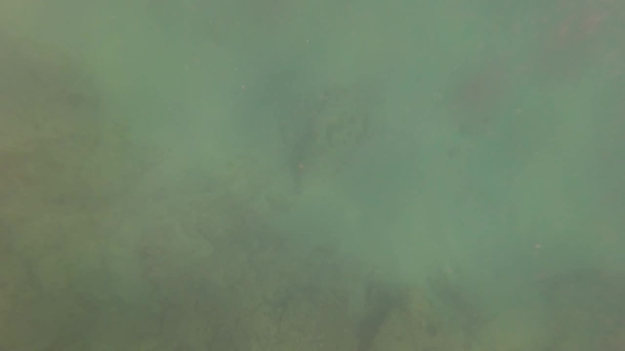 Cloudy turquoise water over an indistinct rocky seabed in San Jose Del Cabo, with no visible people in the frame.