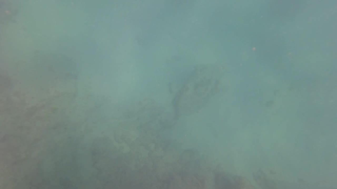 Blue-green underwater view from San Jose Del Cabo with darker patches of rocky seabed visible through haze and no visible people.