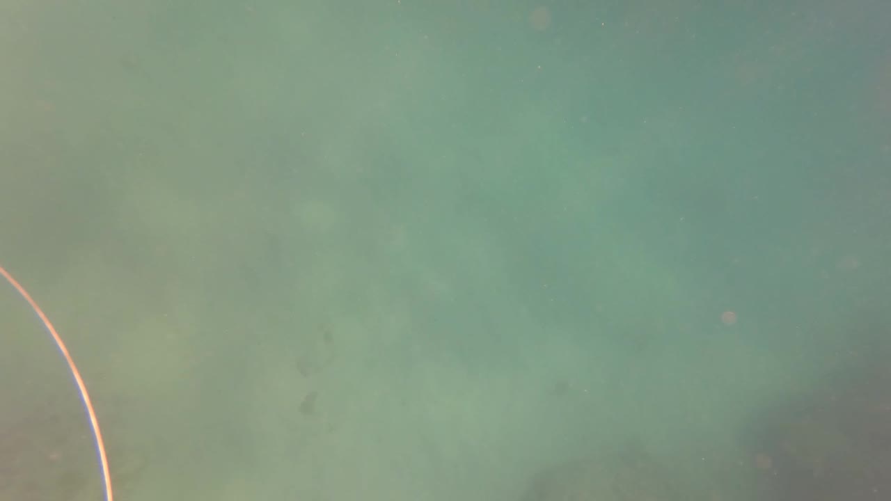Green-blue underwater frame from San Jose Del Cabo with a pale curved fishing line near the left edge and no visible people.