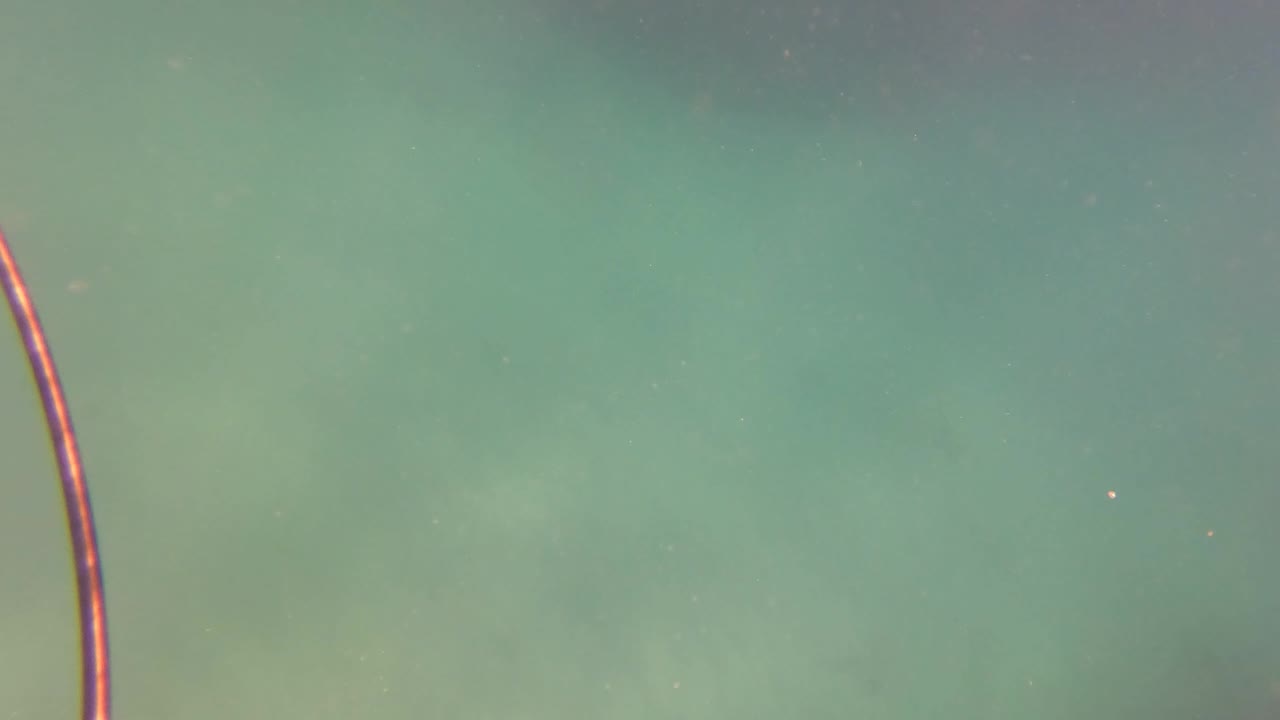 Green underwater frame from San Jose Del Cabo with a thin reddish vertical line or spear element near the right side and no visible people.