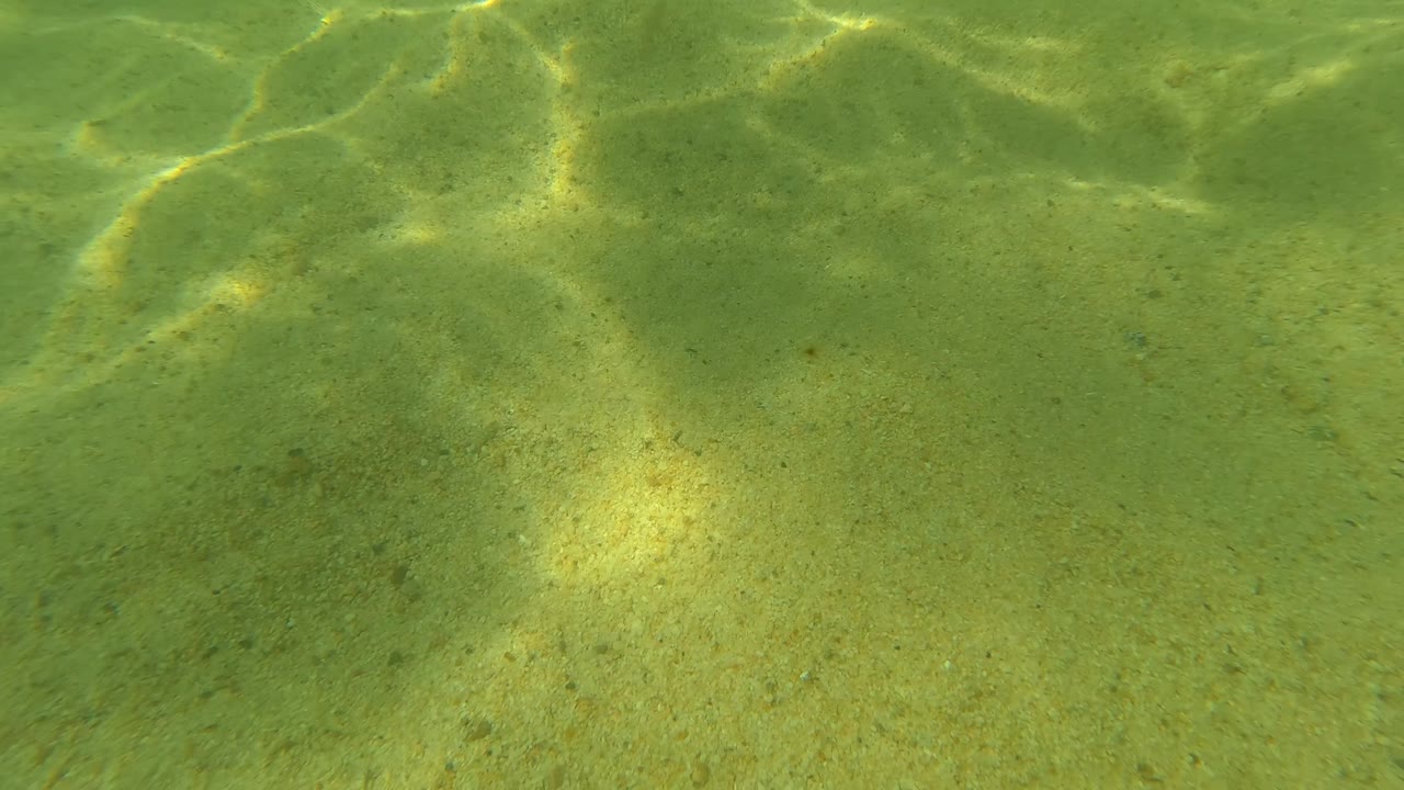 Sandy underwater seabed with green water and sunlight ripples.