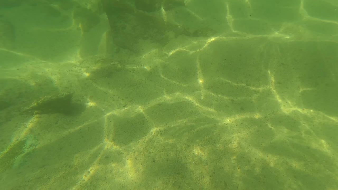 Underwater sand bottom in San Jose Del Cabo, Baja California Sur, with broad green color, scattered sediment, and sunlight patches near the right side, no visible people.