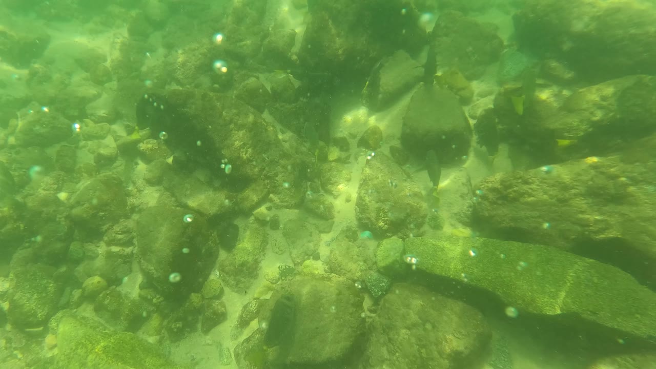 A San Jose del Cabo underwater frame shows rocks and pebbles beneath green water, with suspended bubbles or particles above the stream bed and no visible people.