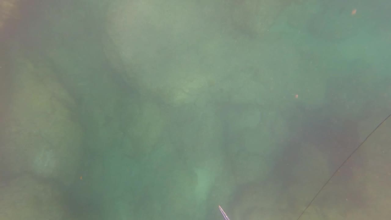 Green-blue underwater view of a rocky seabed in San Jose del Cabo with a thin fishing line crossing the frame and no visible people.