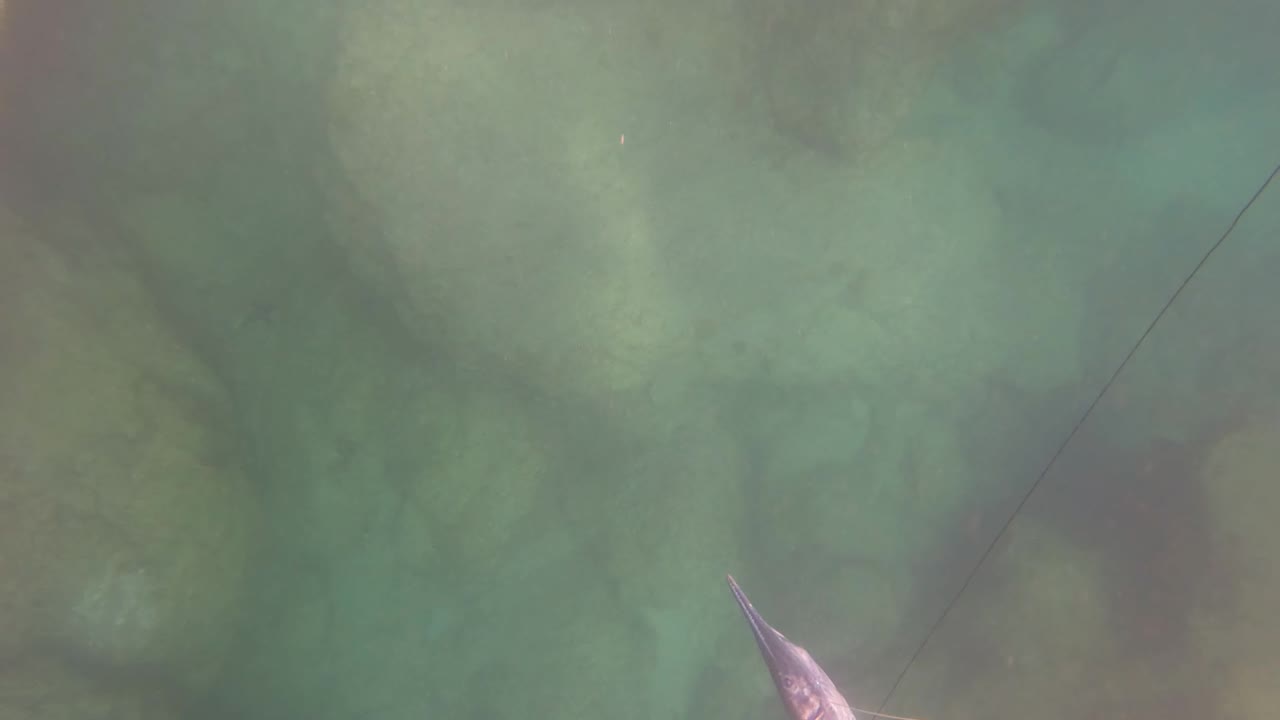 Underwater rocks with a pale lure tip entering near the bottom