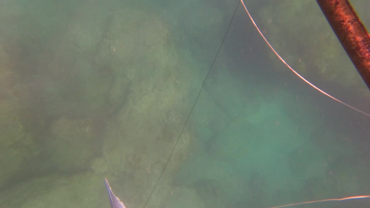 Underwater view in San Jose Del Cabo with a fishing line crossing green water, rocky seabed below, and a pointed spear-like object partly visible near the top edge, no visible people.