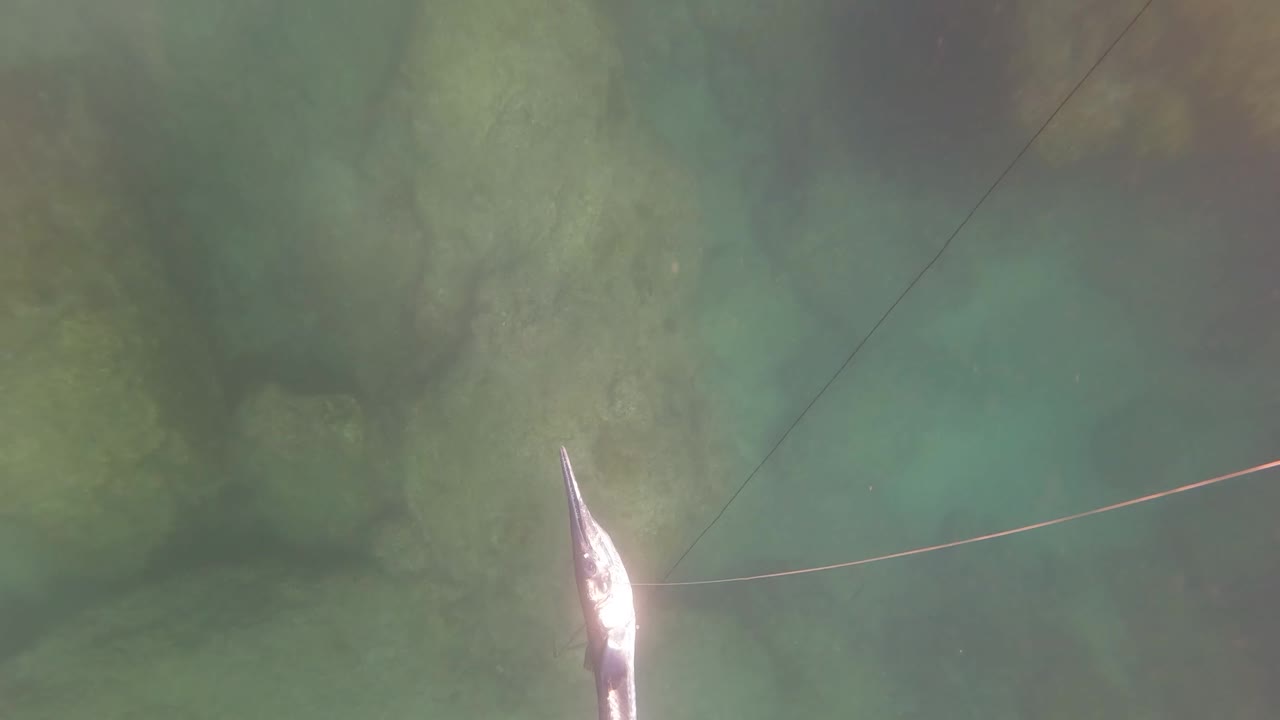 The hooked fish catches bright light near the right side of the San Jose Del Cabo underwater frame, with the line pulled across turquoise green water and rocks below.