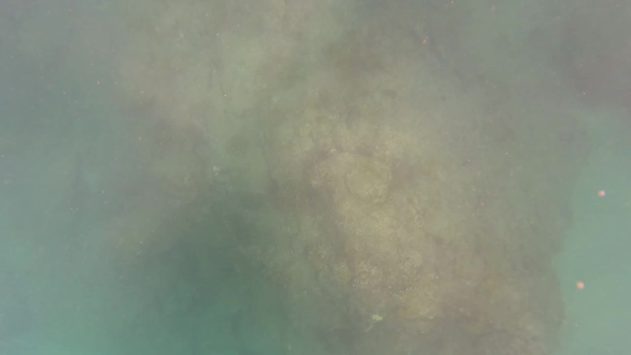 Turquoise underwater view over a rocky seabed.