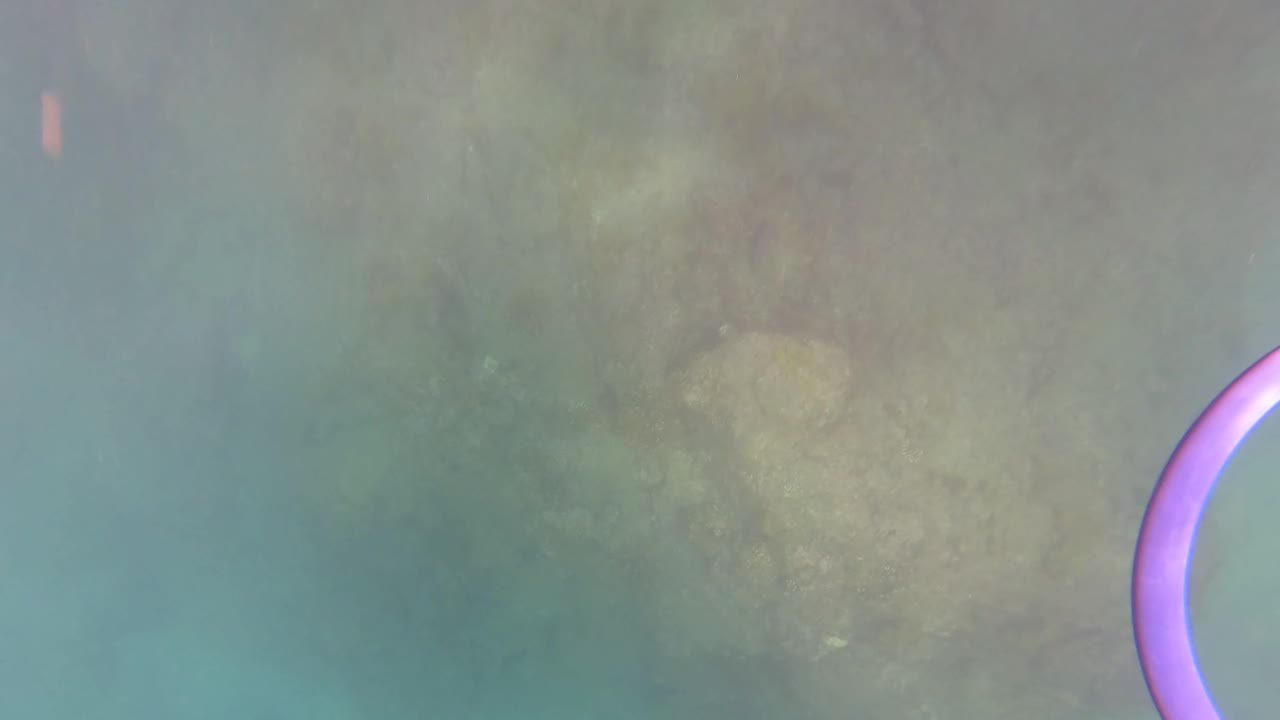Clear underwater frame in San Jose del Cabo with a green-blue cast, rocky seabed detail, light haze, and no visible people.