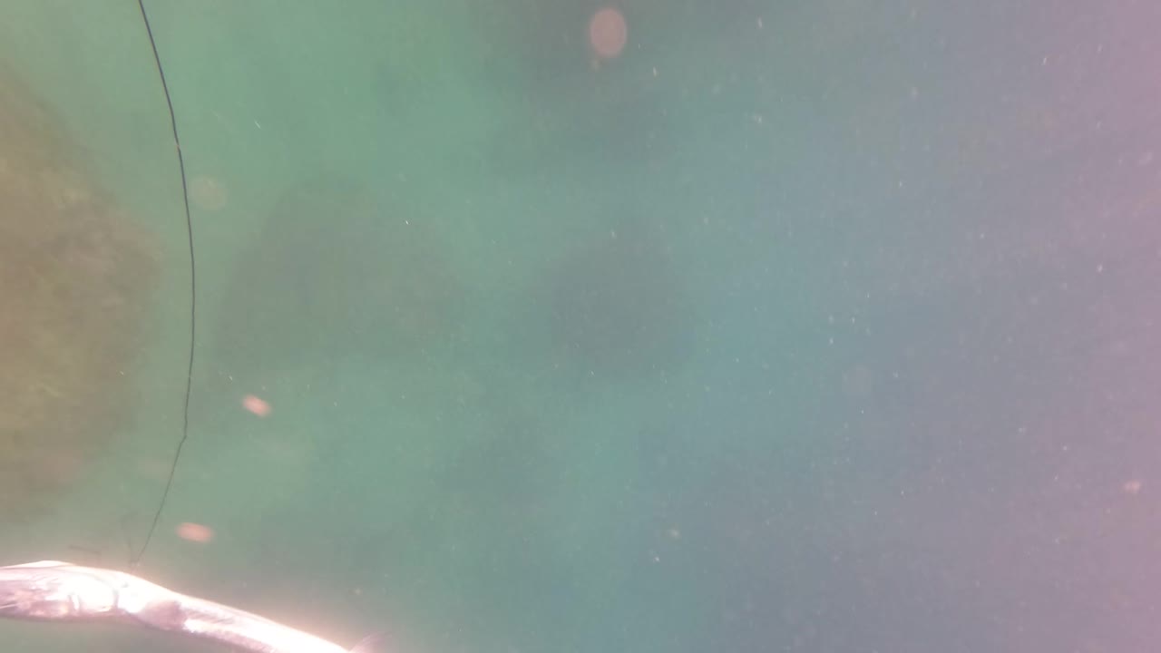 Underwater view in San Jose del Cabo with a small white float, red rope, faint line at the edge, pale seabed rocks, and no visible people.