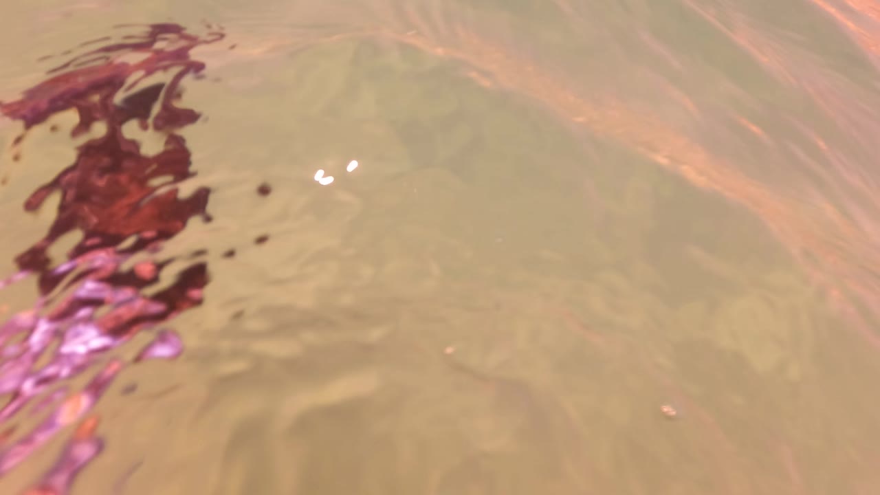 Rippling water surface with reddish reflections at the left edge.