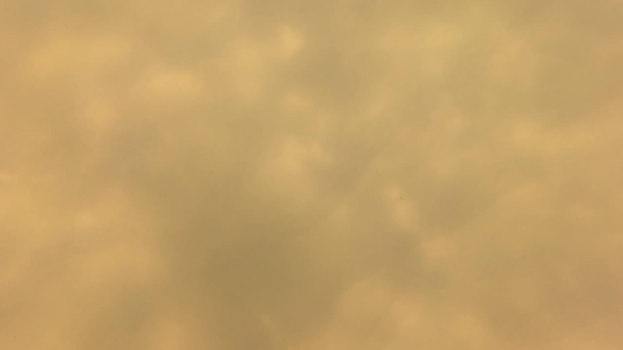 Blurred yellow-green underwater view in San Jose del Cabo with cloudy suspended color and no distinct subject or visible people.