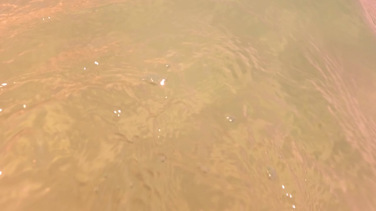 Murky shallow water in San Jose Del Cabo with algae-colored bottom texture, small highlights, and no visible people in the opening frame.