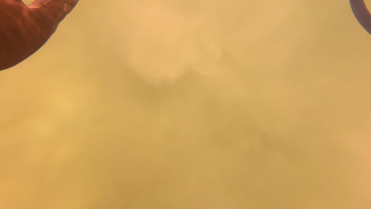 Only part of a dark gloved hand remains near the upper edge as the yellow haze fills most of the San Jose del Cabo frame, with no visible face.