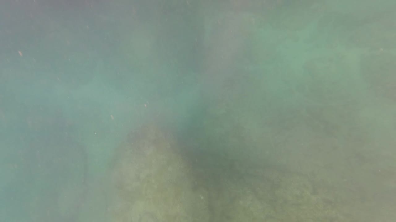 Turquoise water over a rocky seabed in San Jose Del Cabo, Baja California Sur, with no visible people or dive gear in this opening frame.