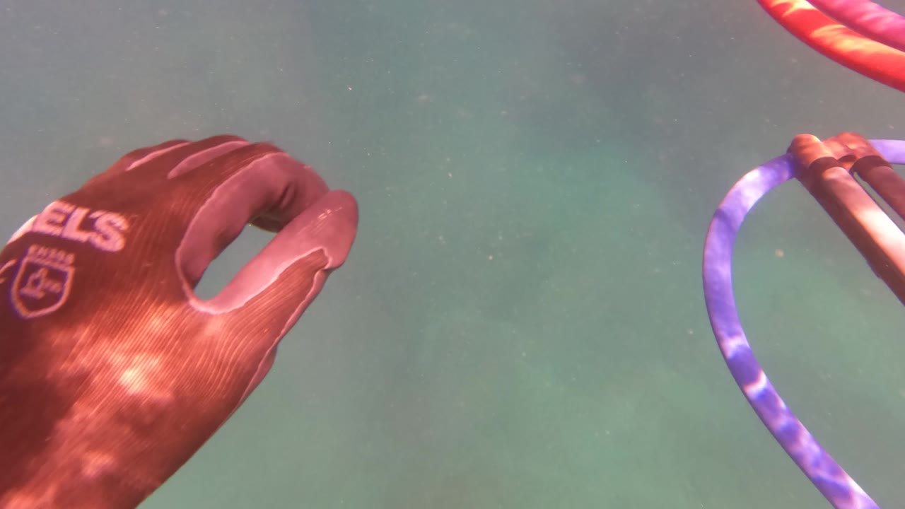 A red diver glove enters the upper right of the San Jose Del Cabo underwater frame above clear water and a rocky seabed, with no visible face.