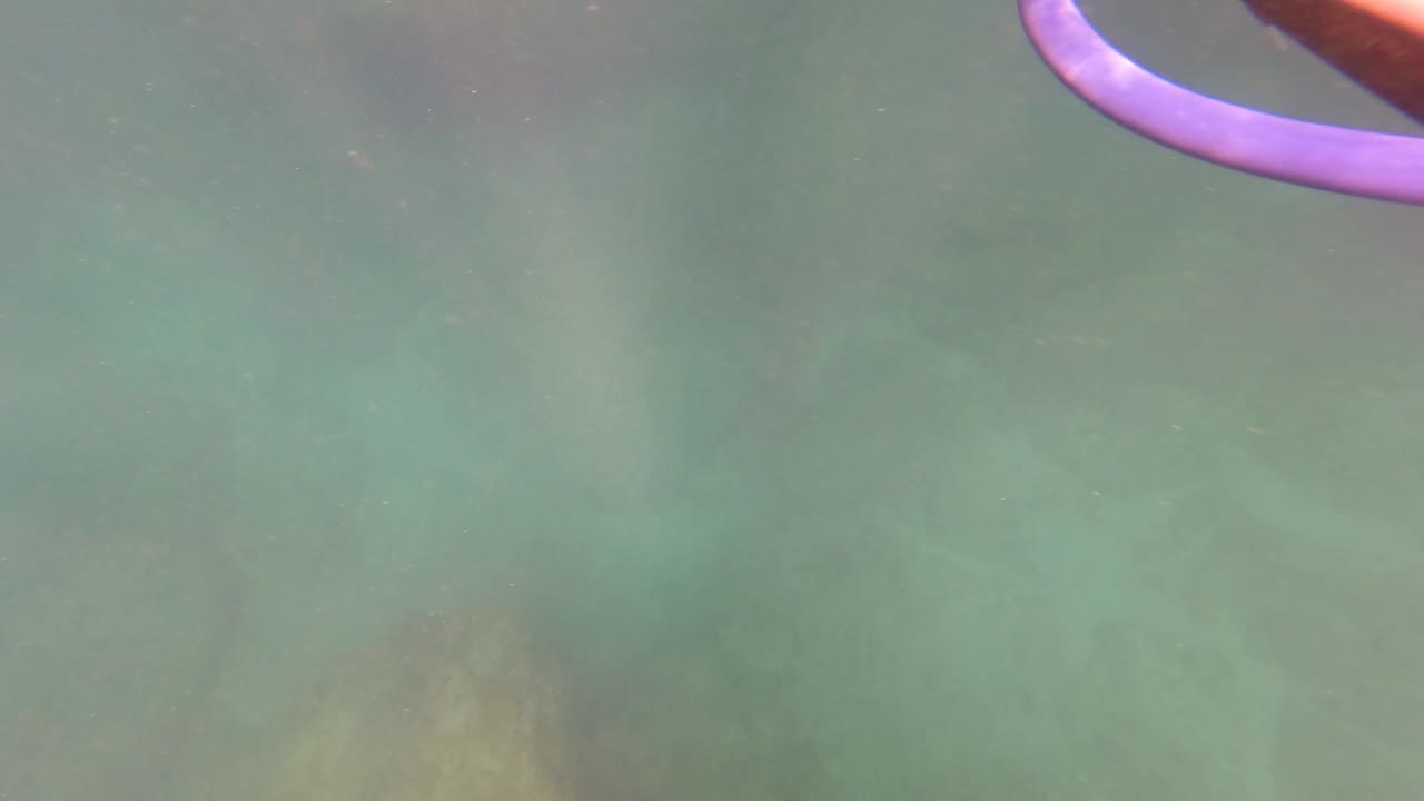 Purple and red dive hoses arc along the upper right of the San Jose Del Cabo underwater view, with rocky seabed visible through clear turquoise water.