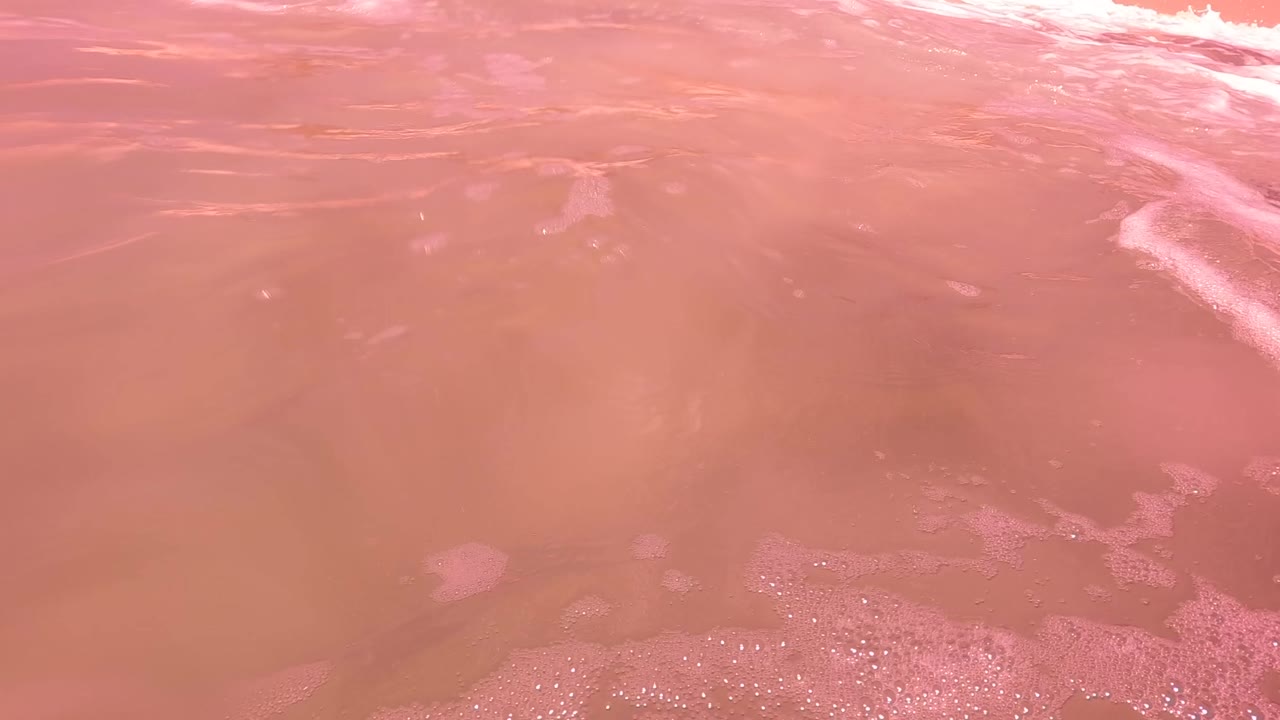 Rippling pink water with a dark object reflection at the edge.