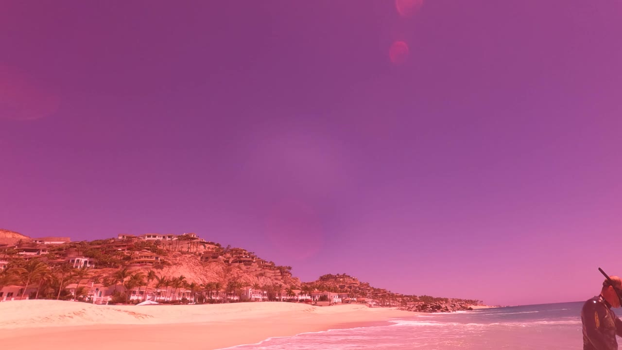 Wide San Jose del Cabo beach view with pale sand, low surf, hillside buildings, palm trees, a pink-purple color cast, and no visible people in this frame.
