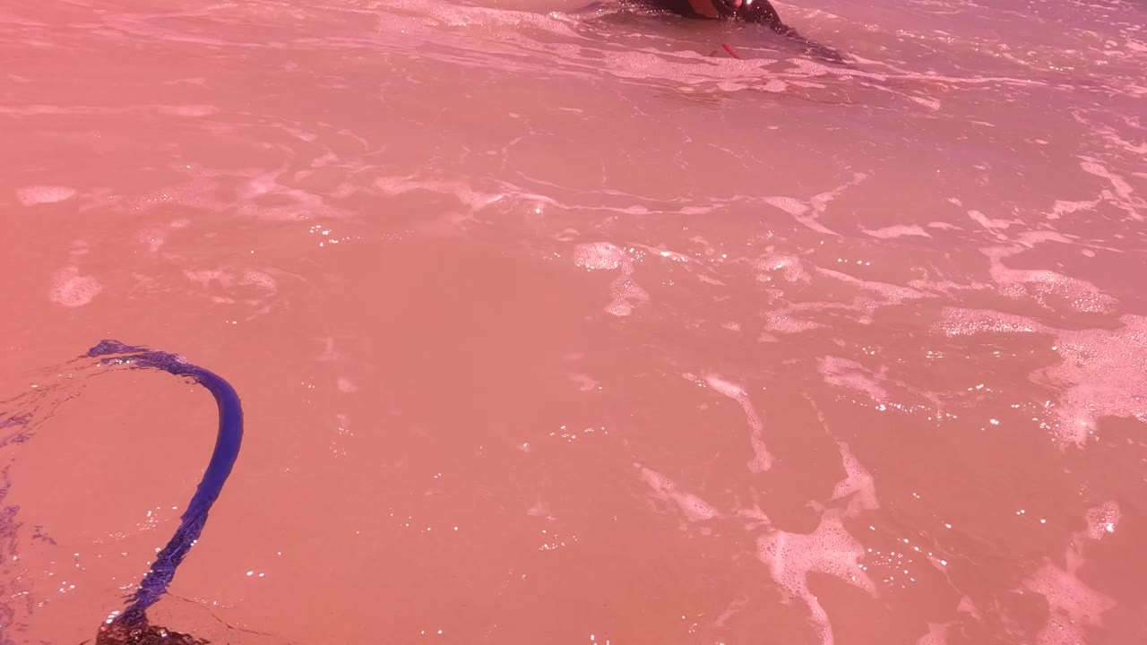 Close view of pink-tinted ocean water in San Jose del Cabo with white foam and a blue rope entering from the lower left, with no recognizable person visible.