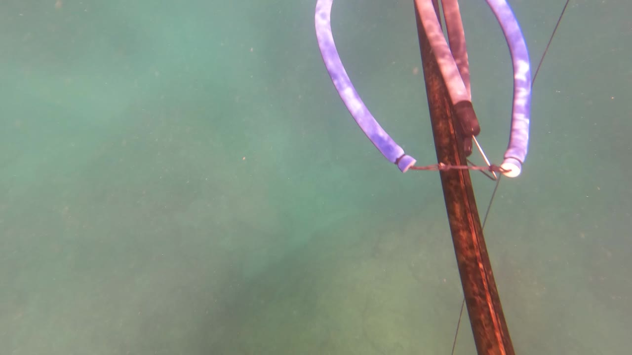 A vertical spear shaft and purple band cross pale turquoise water in San Jose Del Cabo, with underwater rocks visible below and no identifiable person in frame.