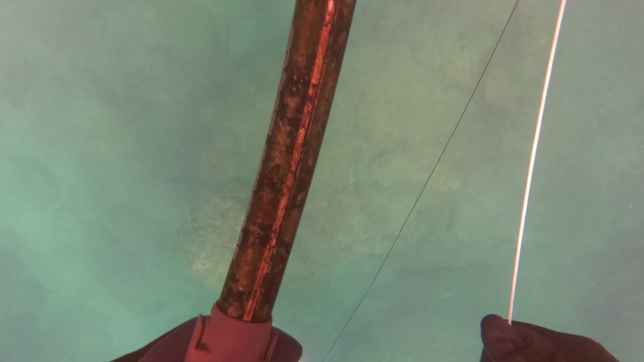 The spear shaft sits near the right side of the frame over green-blue shallow water in San Jose Del Cabo, with a thin line crossing the view and no visible faces.