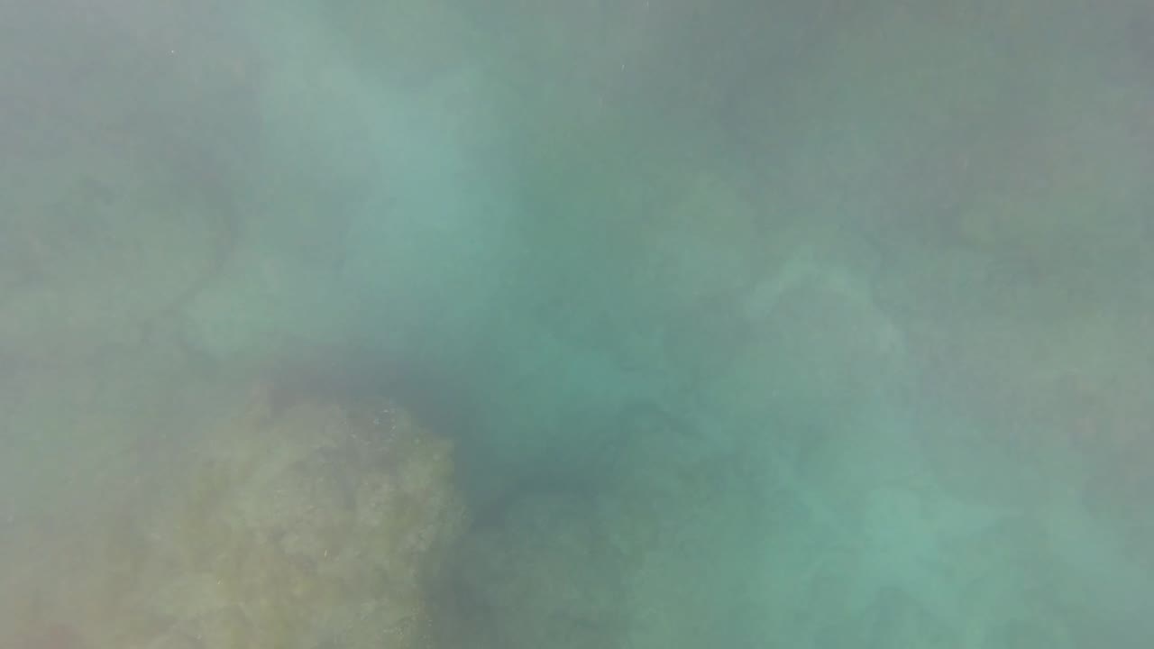 Underwater view in San Jose Del Cabo with green-blue murky water over a rocky seabed and no visible people.