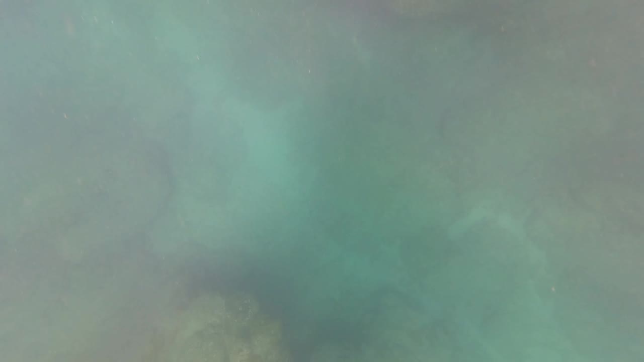 Soft underwater view with rocks faintly visible through green water.